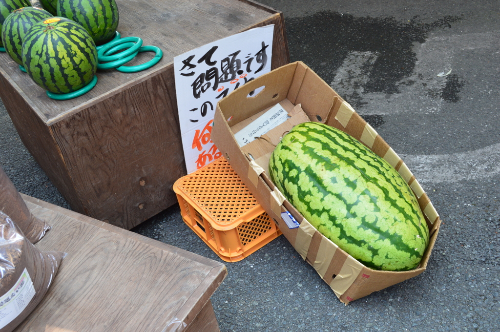 重そう・・