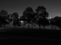 モノクロ公園１