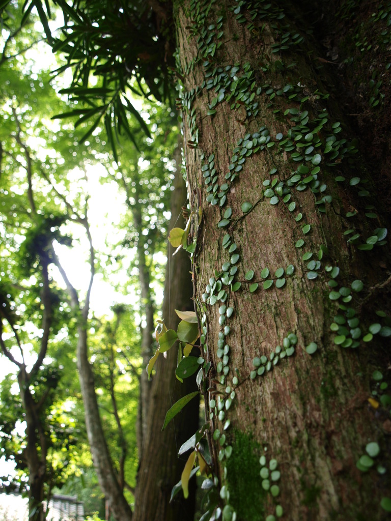 縦横無尽