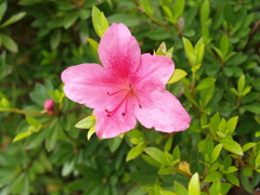 P1170503