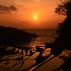 夕日の棚田