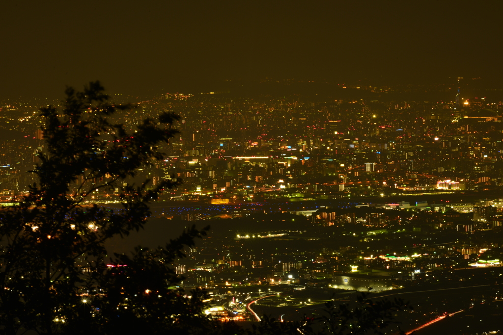 米の山からの夜景 その１