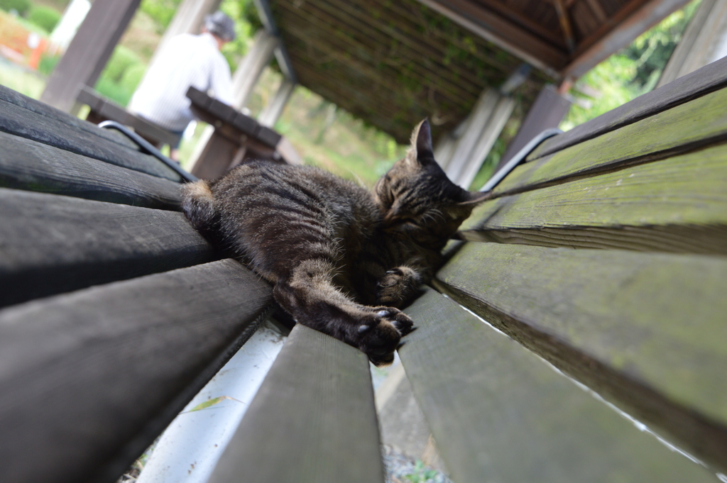 公園にて２