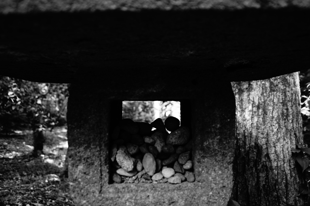 DSC00150[1]