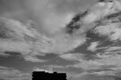 雨が去って