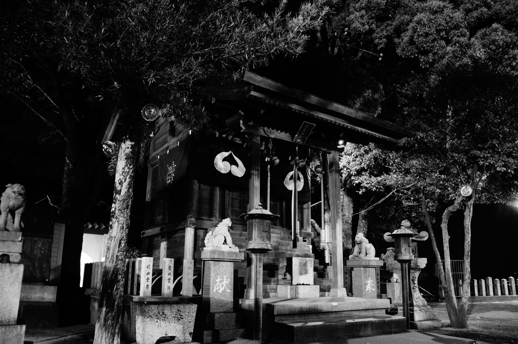 DSC00256[1]