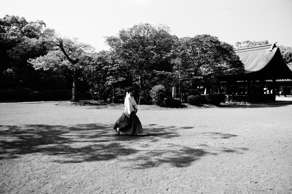 DSC00155[1]