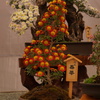 春華