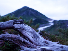 夏の立山連峰3