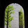 Arcade