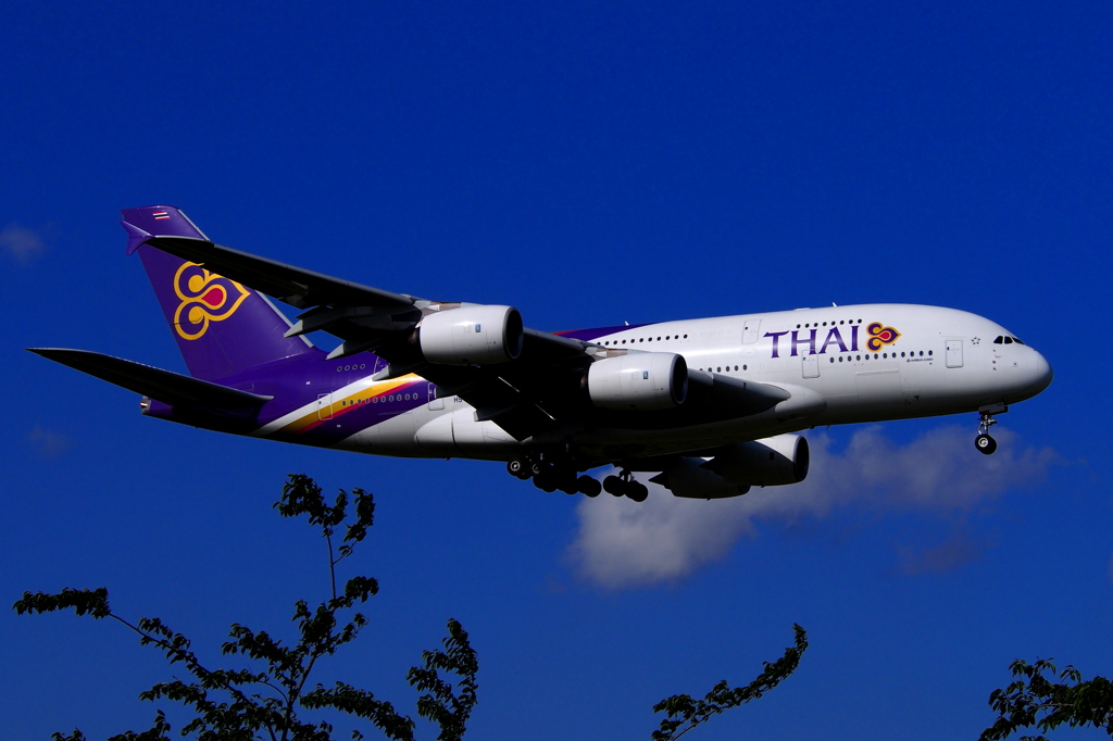 A380