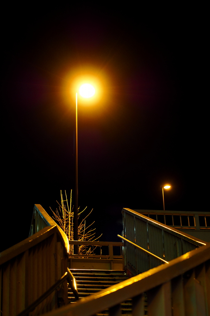 夜の歩道橋