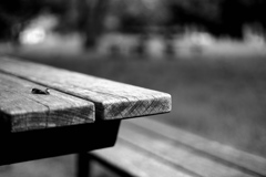 bench