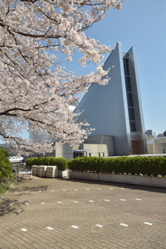 カトリック東京カテドラル関口教会