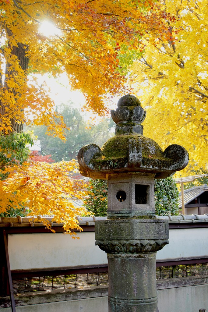上野東照宮と紅葉