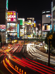 TOKYO　MIDNIGHT