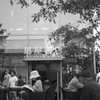 蔦屋書店