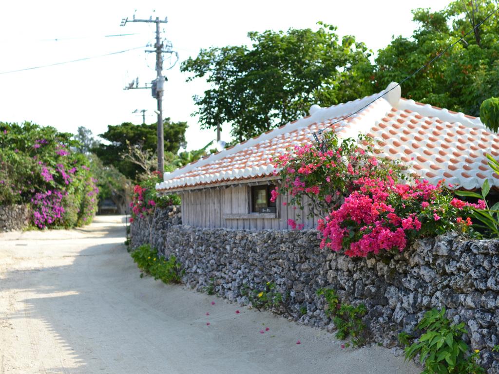 竹富島の集落