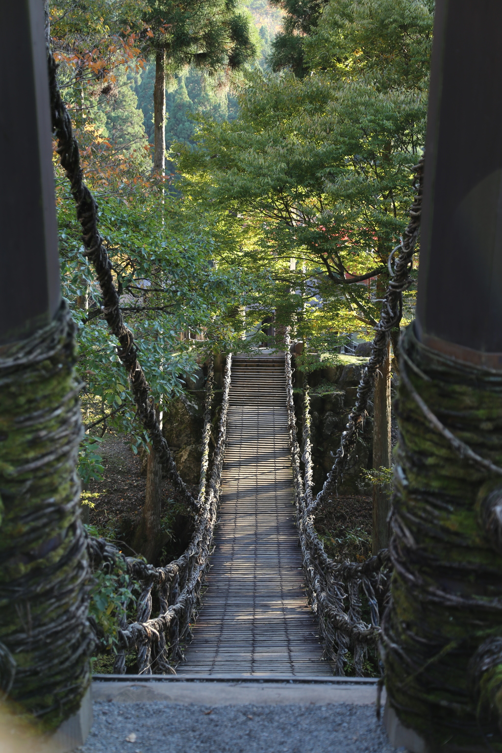 つり橋