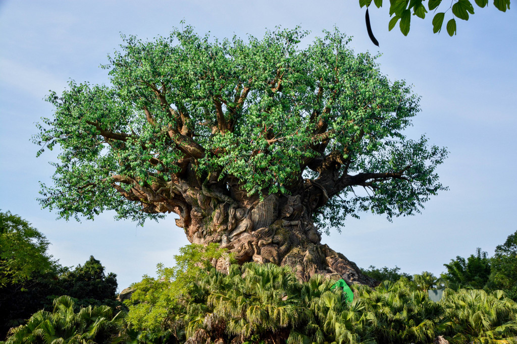 Animal Land Largetree
