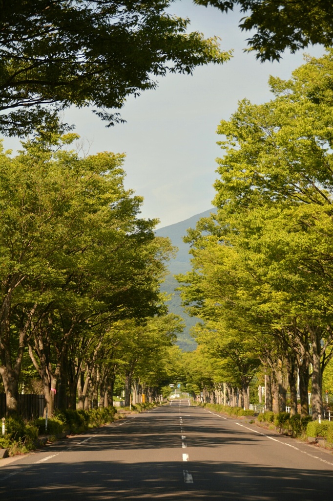 私の通勤路
