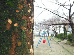 IMGP0661