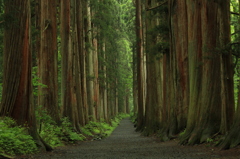 戸隠神社am5:00