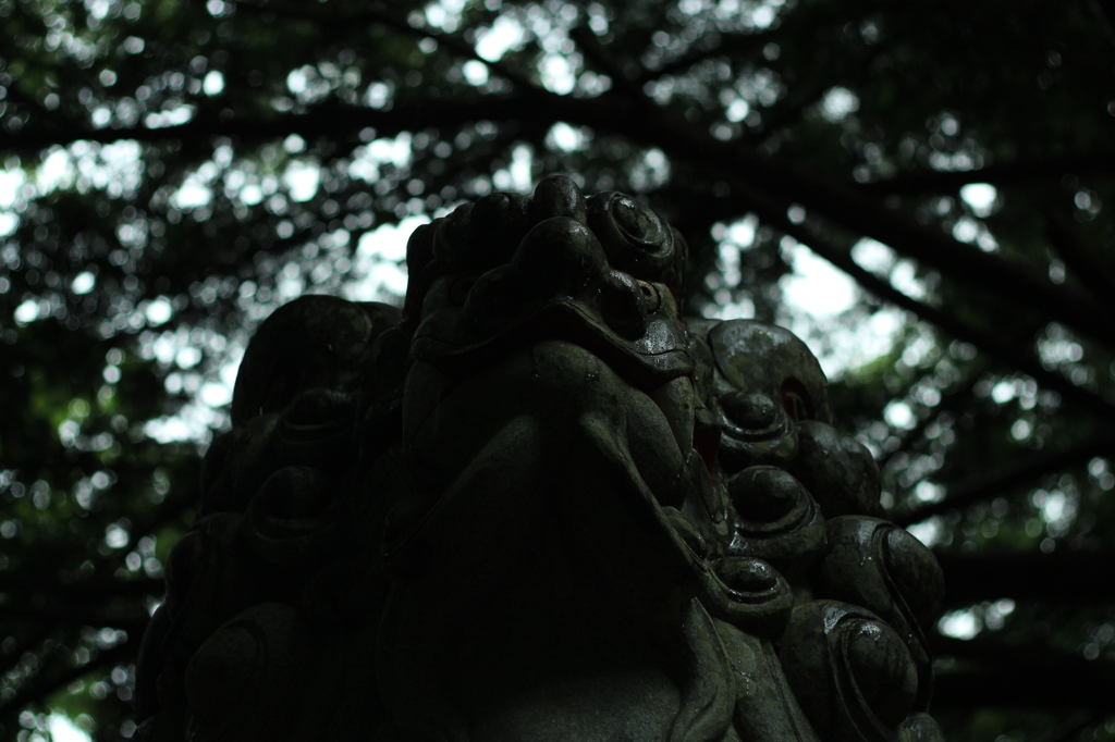 戸隠神社狛犬