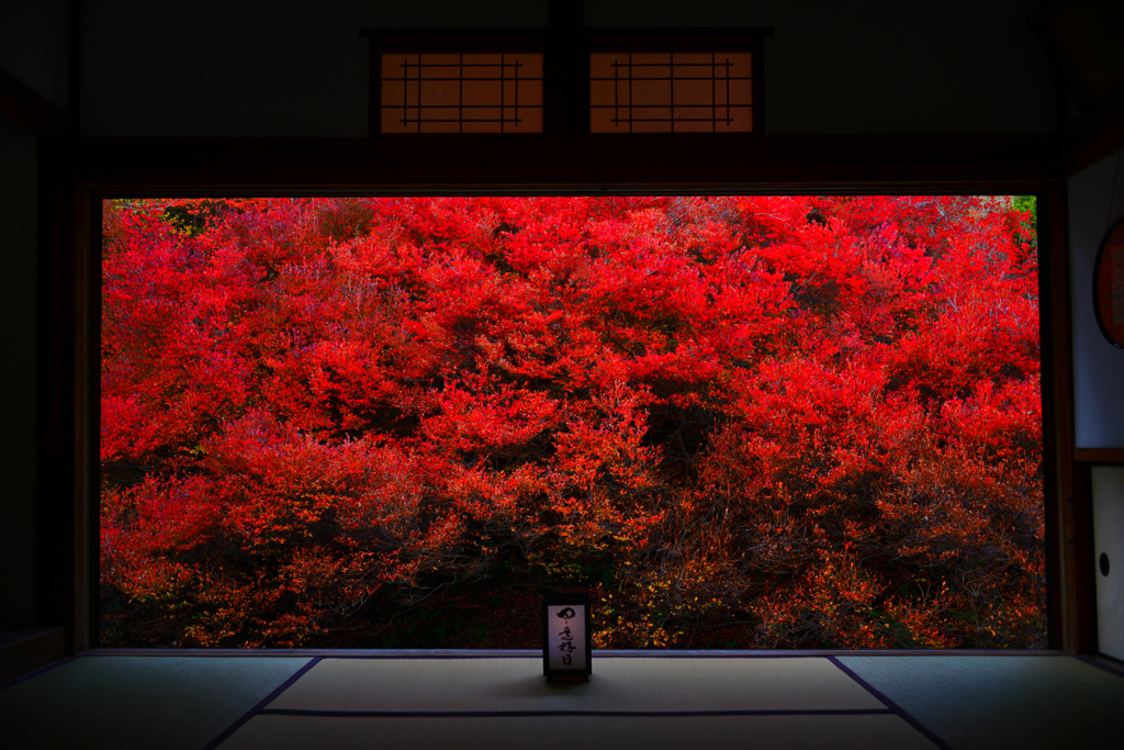 真紅の襖