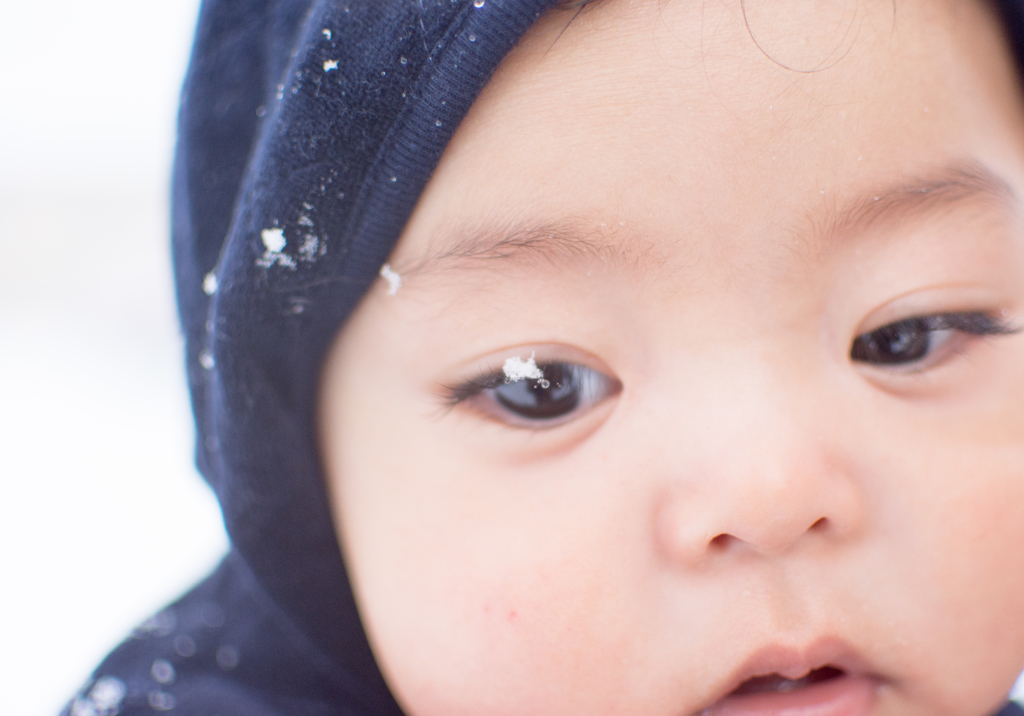 初めての雪。