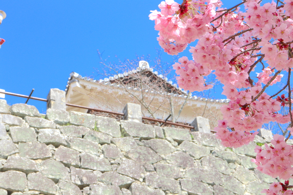 松山城