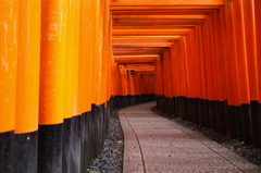 千本鳥居