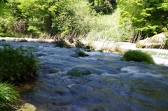 IMGP4151