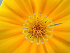 DSCN1081s