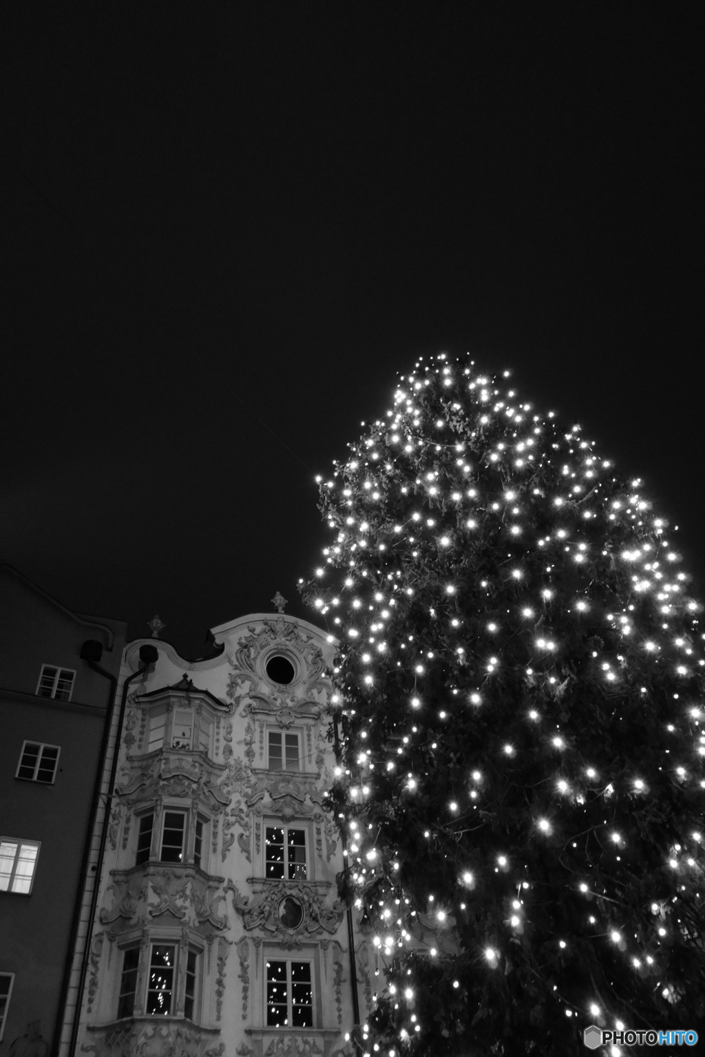 christmas tree