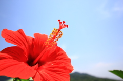 夏の気配