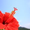 夏の気配