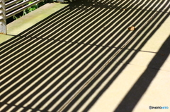 影