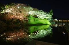 夜桜