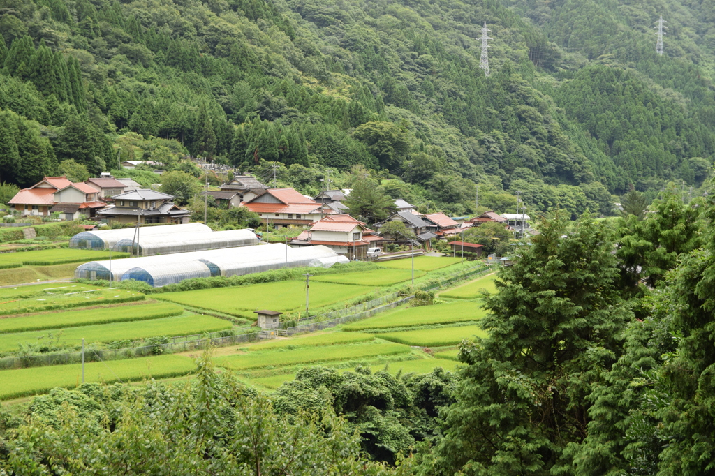 昔見てた風景