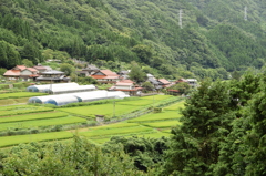 昔見てた風景