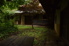 廃屋になって・・・