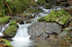岡山県北の清流