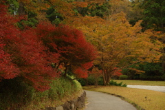 見回せば、秋の色。