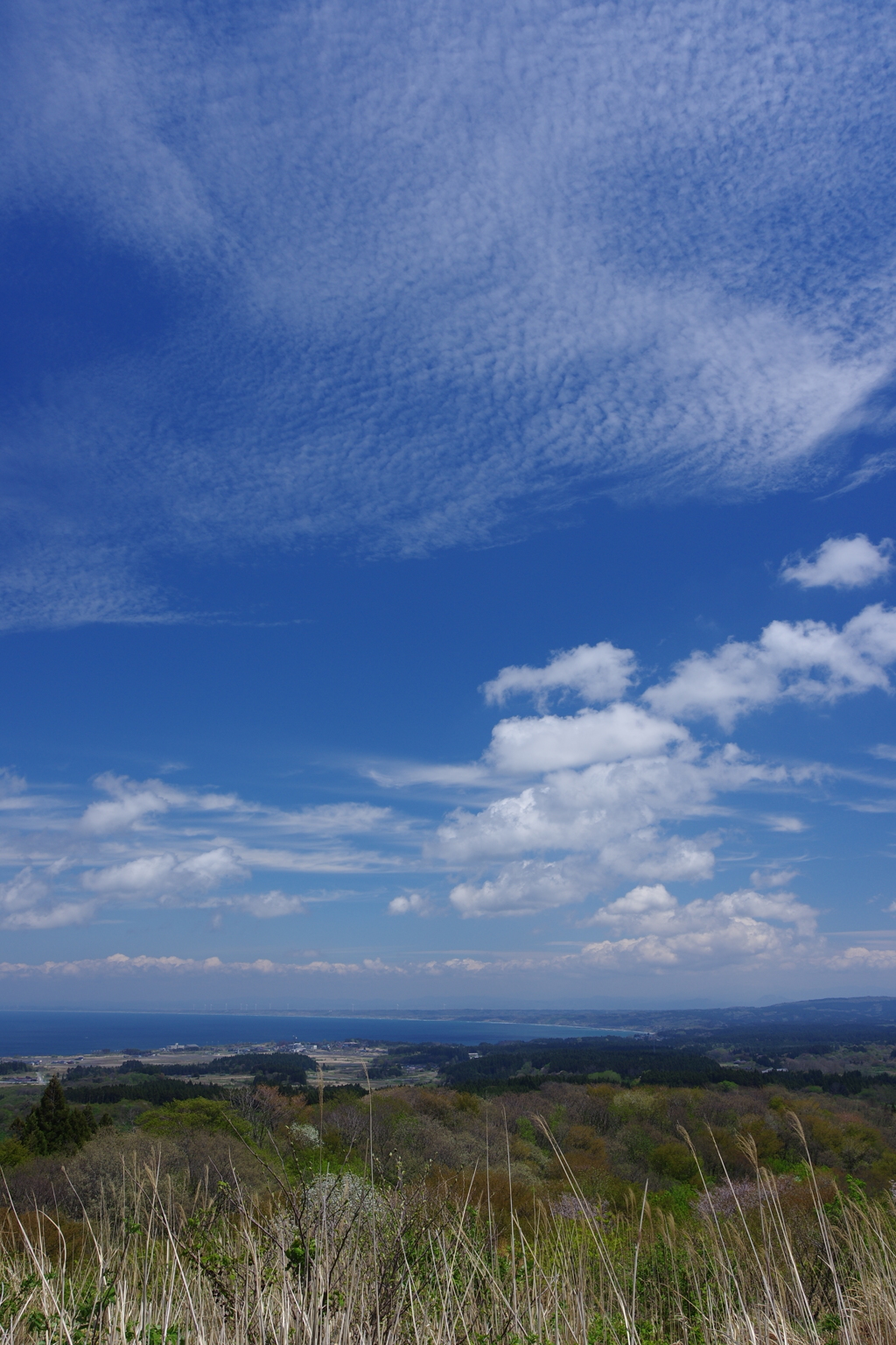 男鹿 八望台より。