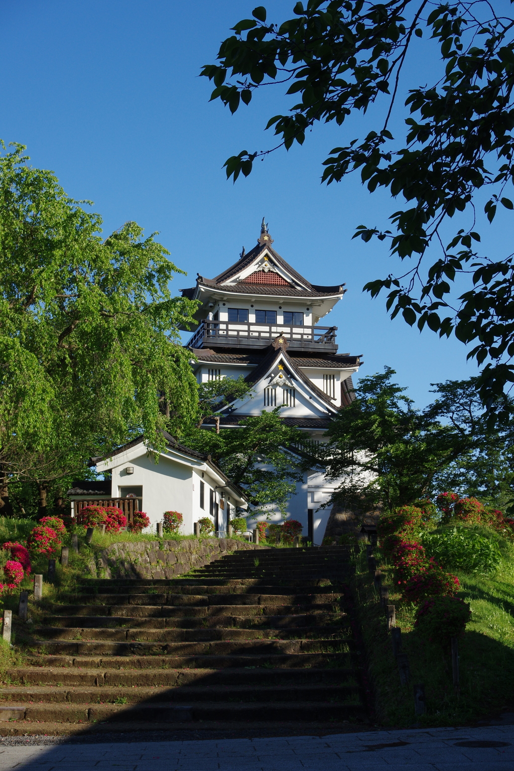 朝日の横手城