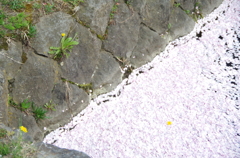 予期せぬ別れ。