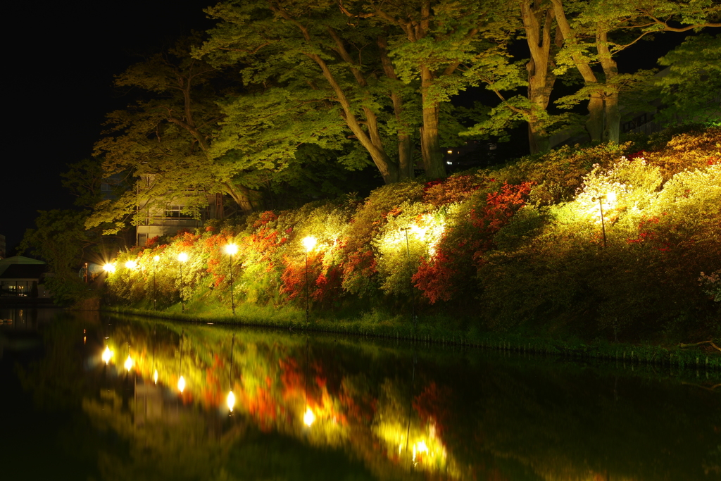 千秋公園入口にて。