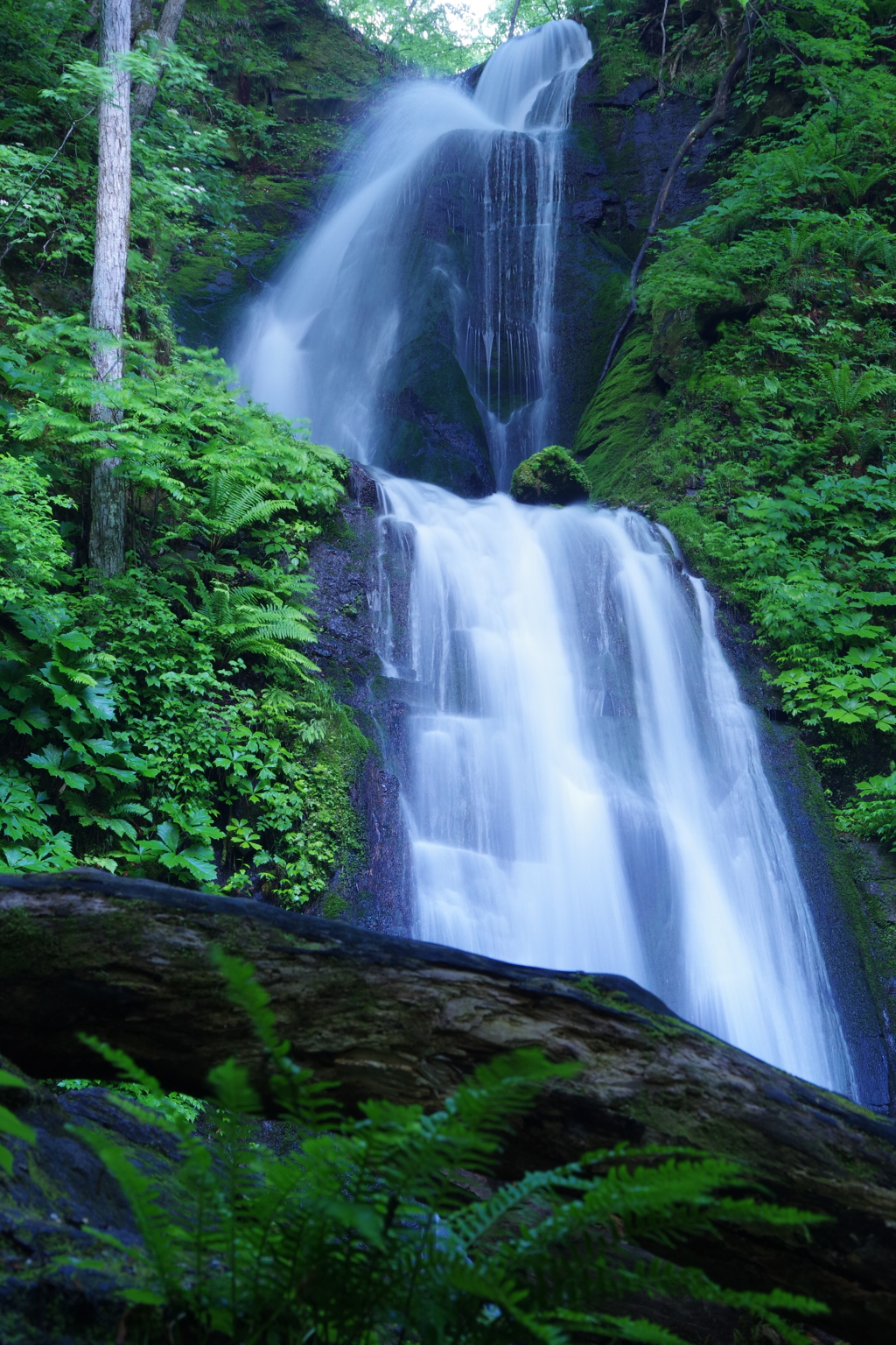 雲井の滝