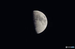 Half＆Half_2